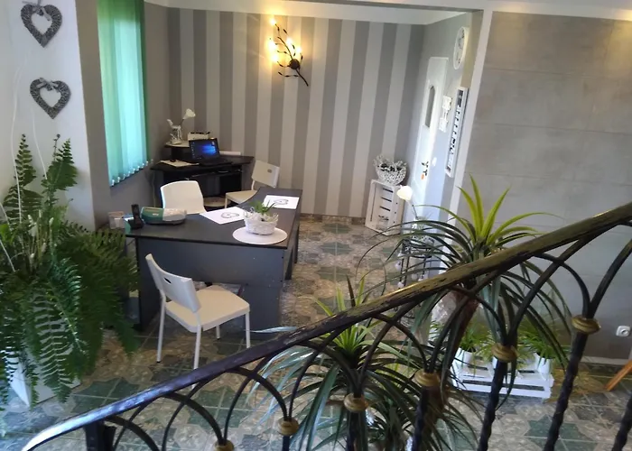 Willa Ela 招待所 里沃